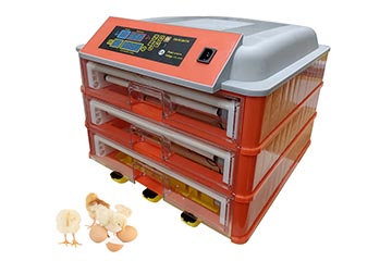 Egg Incubator