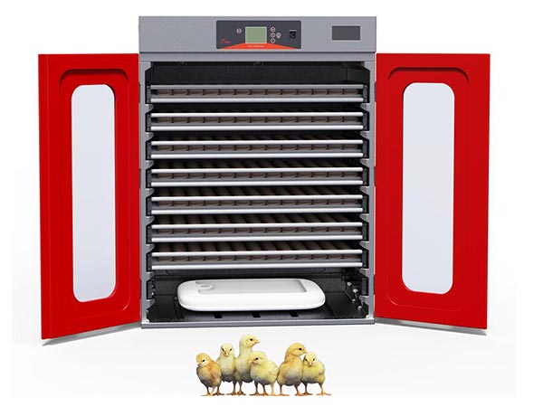 Eggs Incubator Hatching Machine