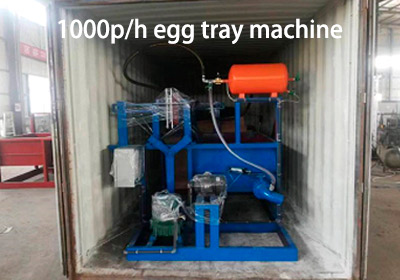 Zimbabwe Egg Tray Machine Client